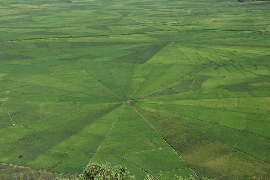Flores Island Tour : 4 Days explore the culture & nature - Practical Details and What to Expect