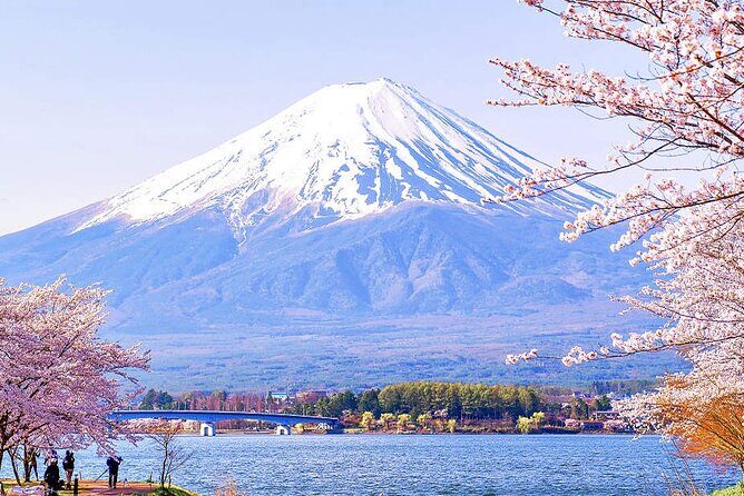 Flower Viewing at Kawaguchiko & Mt. Fuji Day Tour with Kusa Mochi - Who Will Love This Tour?