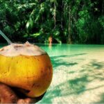 Floyd's Pelican Bar Private Tour - What to Expect on the Tour