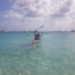 Folkestone Coral Reef Clear Kayak Tour - Final Summary