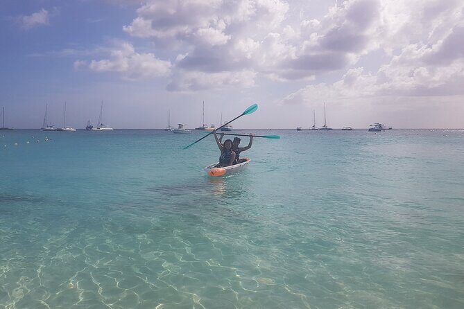 Folkestone Coral Reef Clear Kayak Tour - Final Summary