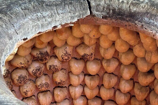 Food tour in Tashkent - Practicalities & What to Expect