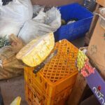 Foodie Tour City Highlights and Shopping - Why This Tour Is a Great Match