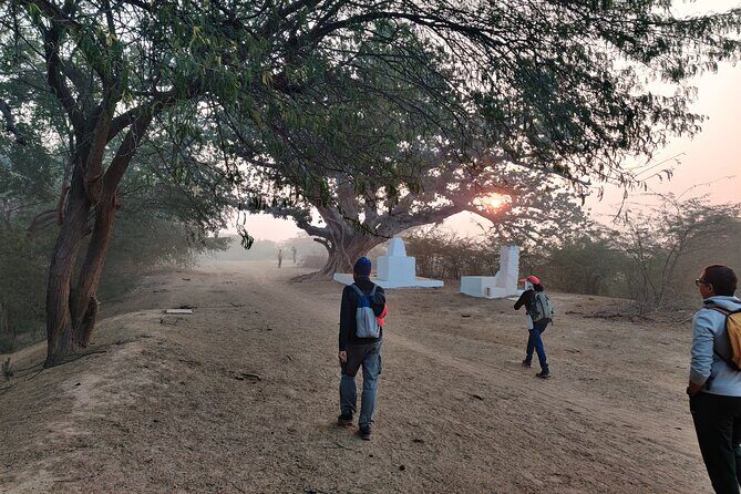 Forest Trail Hiking Adventure-Gurgaon by @Aravali.Hikes - The Guides and Group Size