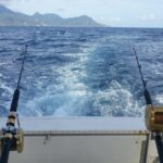 Four-Hour Fishing Tour in Dominica - Practical Details and Considerations