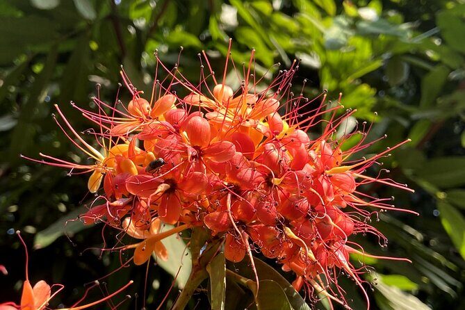 Fragrance Walk and Botany of Ancient Texts Tour - The Review: Pros and Cons