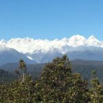 Franz Josef: Half-Day Guided Tour to Okarito - The Experience in Detail