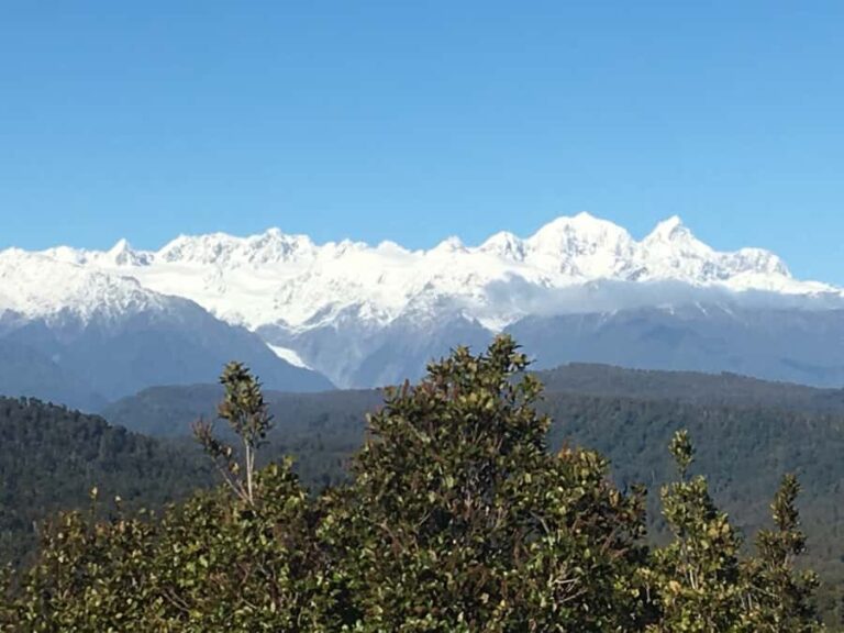 Franz Josef: Half-Day Guided Tour to Okarito - The Experience in Detail