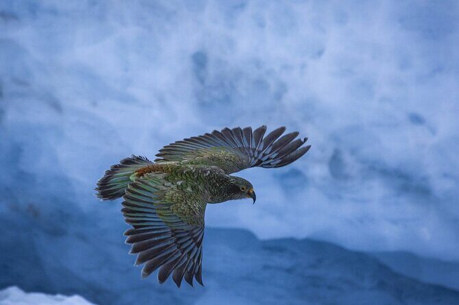 Franz Josef to Christchurch Small-Group Tour via Hokitika (1-way) - Transportation, Group Size, and Comfort