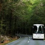 Franz Josef to Queenstown Day Tour - Transportation and Group Dynamics