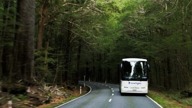 Franz Josef to Queenstown Day Tour - Transportation and Group Dynamics