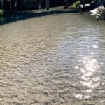 Fraser Experience Shared Full Day Guided Tour - The Value of the Tour