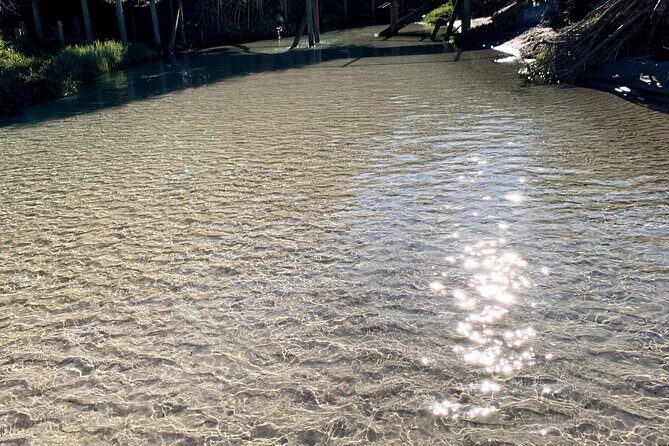 Fraser Experience Shared Full Day Guided Tour - The Value of the Tour