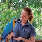 Friends in the Rainforest Package: Koala Gardens & Birdworld - An In-Depth Look at the Tour Experience