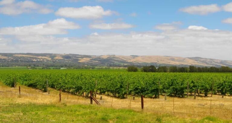 From Adelaide: McLaren Vale Winery Tour with Hahndorf Stop - Hahndorf: A German Village with Charm and Character