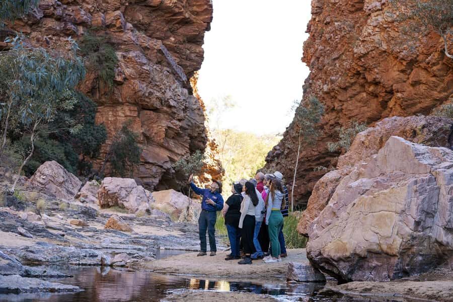 From Alice Springs: Half Day West MacDonnell Ranges Tour - Transport, Timing, and Comfort