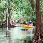 From Ao Nang: Kayaking at Klong Rud with Hotel Transfers - The Value of This Kayaking Experience