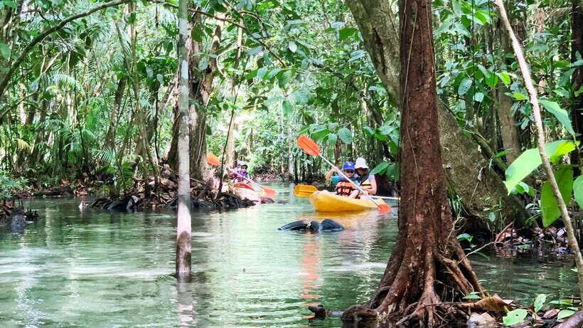 From Ao Nang: Kayaking at Klong Rud with Hotel Transfers - The Value of This Kayaking Experience
