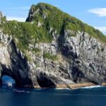 From Auckland: Hole in the rock cruise tour - Transportation, Timing, and Group Size