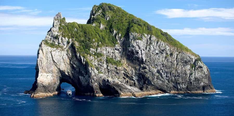 From Auckland: Hole in the rock cruise tour - Transportation, Timing, and Group Size  