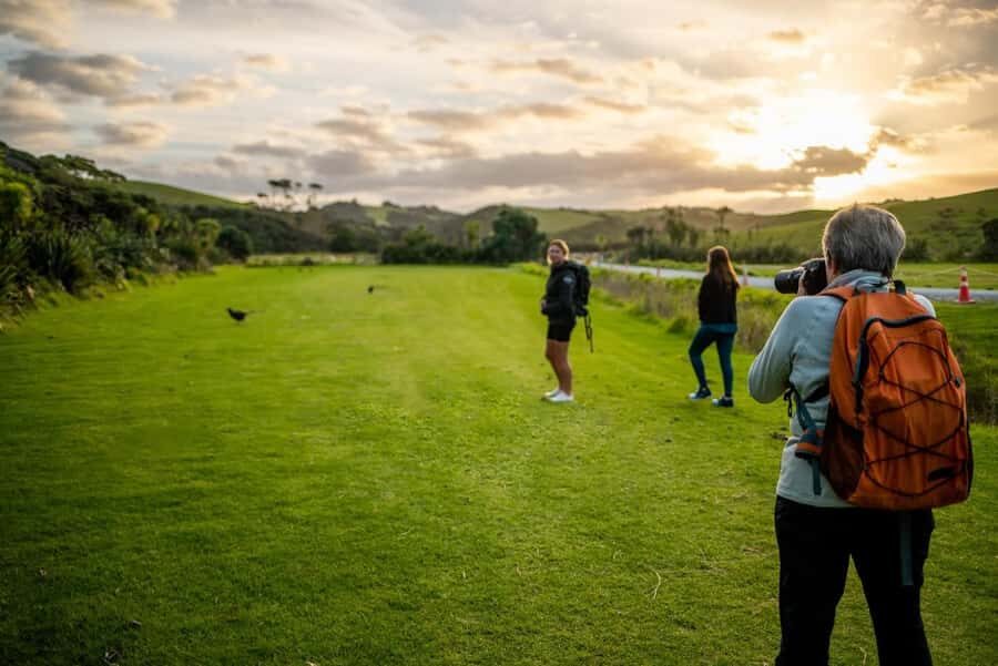 From Auckland: Kiwi Bird Encounter & 3-Course Dinner Tour - Practical Details & What You Need to Know