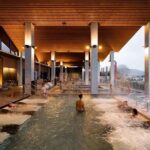 From Auckland : Te Puia & Wai Ariki Hot Springs Rotorua Day Tour - Authentic Insights from Reviewers