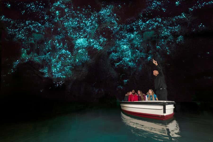 From Auckland: Waitomo Glow Worm Caves & Rotorua Tour - Practical Considerations