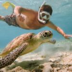 From Bali: 2D1N Gili Island Private Snorkel Boat with Hotel - The Itinerary in Detail