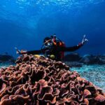 From Bali: Beginner Scuba Diving to Nusa Penida & Lembongan - The Pros and Cons
