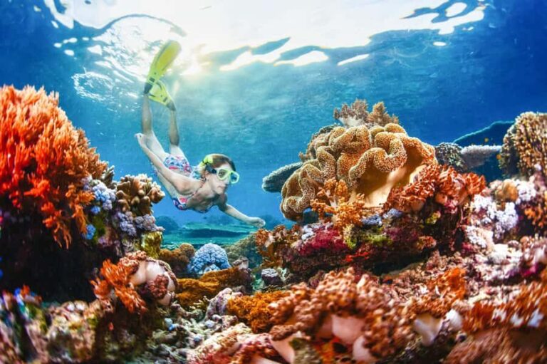 From Bali: Half Day Snorkeling 3 Spots to Lembongan & Penida - A Closer Look at the Experience