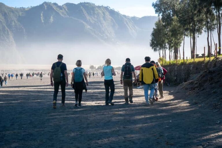 From Bali : Mount Bromo Sunrise English Shared Guide Tour - Seamless Travel from Bali to Java