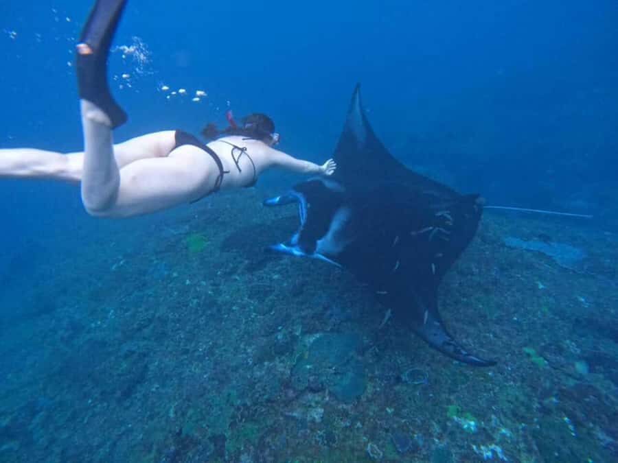 From Bali: Nusa Penida 3 Spots Snorkeling Tour & West Island - What Makes This Tour Stand Out?