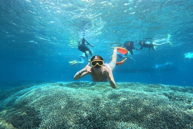 From Bali: Nusa Penida Full Day Tour and Snorkeling - What’s Included and What to Keep in Mind