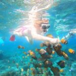 From Bali: Nusa Penida Private Snorkeling and Land Tour - What’s Included and Practicalities