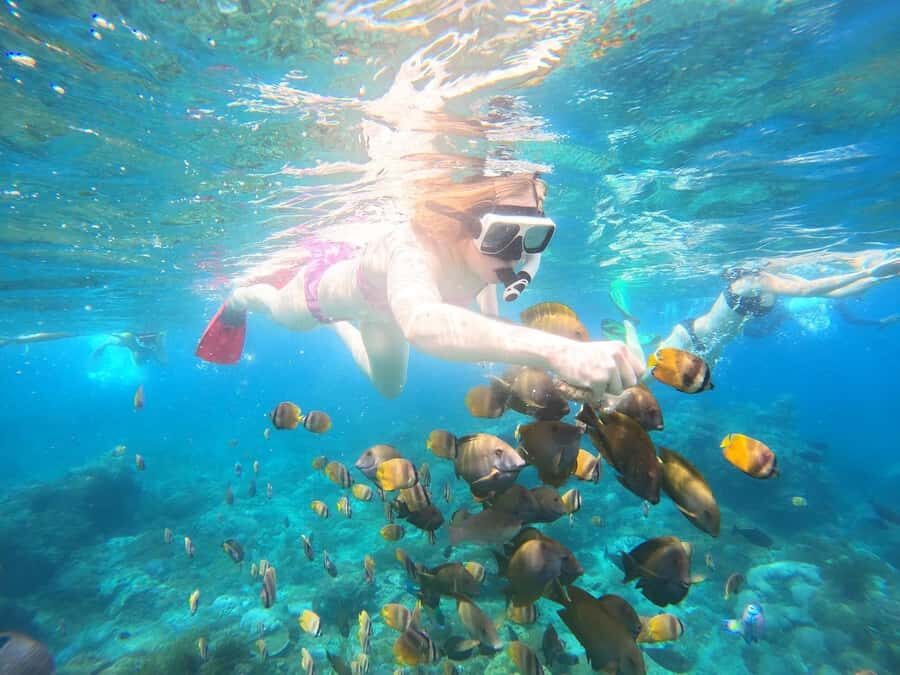 From Bali: Nusa Penida Private Snorkeling and Land Tour - What’s Included and Practicalities
