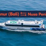 From Bali/Sanur: 1-Way Fast Boat Transfer to Nusa Penida - Practical Considerations and Tips