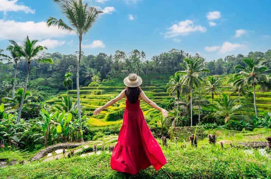 From Bali: Saraswati Temple, Monkey Forest, Ubud Waterfalls - Detailed Breakdown of the Itinerary  
