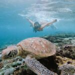 From Bali: Snorkeling at Manta Point Nusa Penida & Land Tour - Detailed Breakdown of the Itinerary