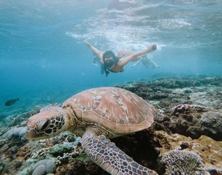 From Bali: Snorkeling at Manta Point Nusa Penida & Land Tour - Detailed Breakdown of the Itinerary