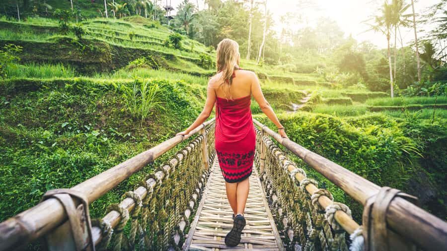 From Bali: Ubud Day Trip - Waterfall, Rice Terraces & More - Additional Highlights: Coffee Plantation & Flexibility