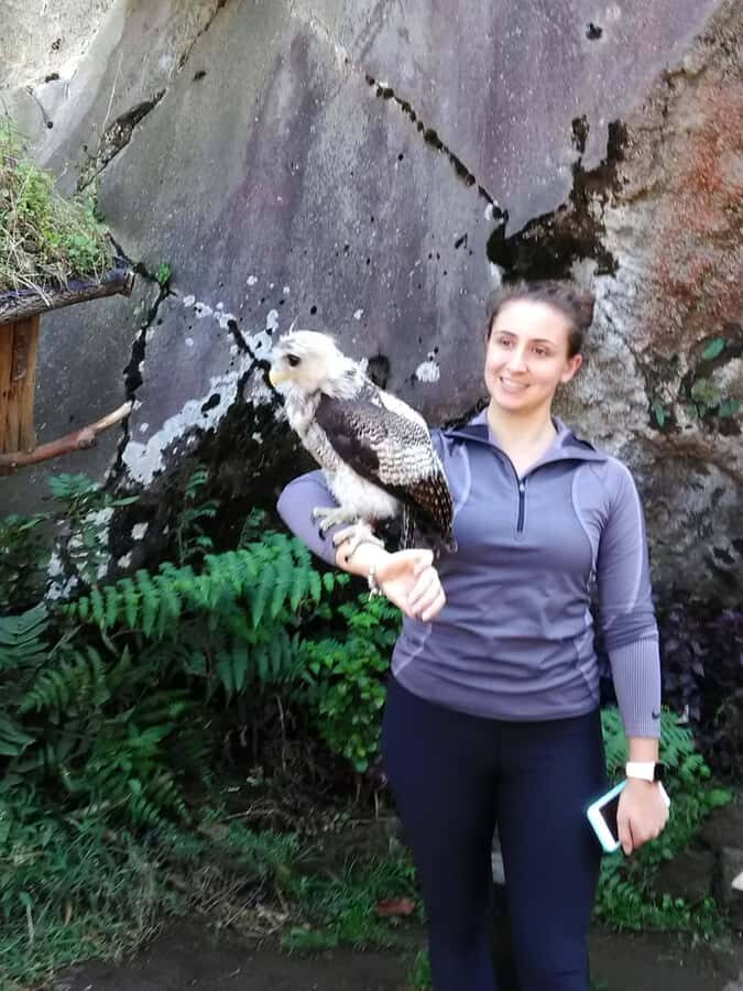 From Bali - Yogyakarta: 8-Days Bali - Java Tour Explore - A Closer Look at the 8-Day Bali to Java Adventure