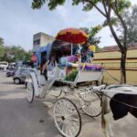 From Bangalore : Mysore Sightseeing full day tour - Why This Tour Offers Great Value