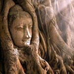From Bangkok : Ancient Ayutthaya Day Trip Private & Guided - What to Expect from the Experience