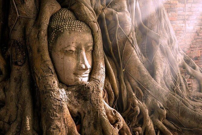 From Bangkok : Ancient Ayutthaya Day Trip Private & Guided - What to Expect from the Experience