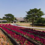 From Bangkok: Ayutthaya Temples & Gallery Boathouse Tour - The Charm of the Classic Boat Collection and Boat Lifting