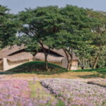 From Bangkok: Ayutthaya Temples & Gallery Boathouse Tour - Practical Tips for Your Trip