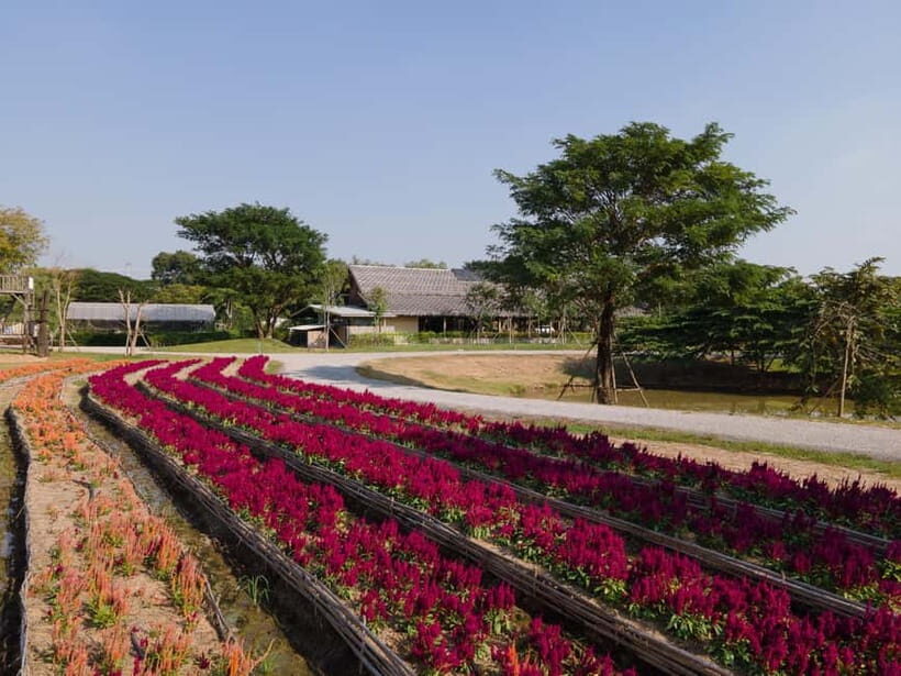 From Bangkok: Ayutthaya Temples & Gallery Boathouse Tour - The Charm of the Classic Boat Collection and Boat Lifting