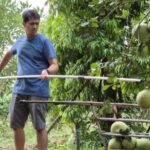 From Bangkok: Taste and Tune of Samut Songkhram Private Tour - In-Depth Look at What Makes This Tour Stand Out