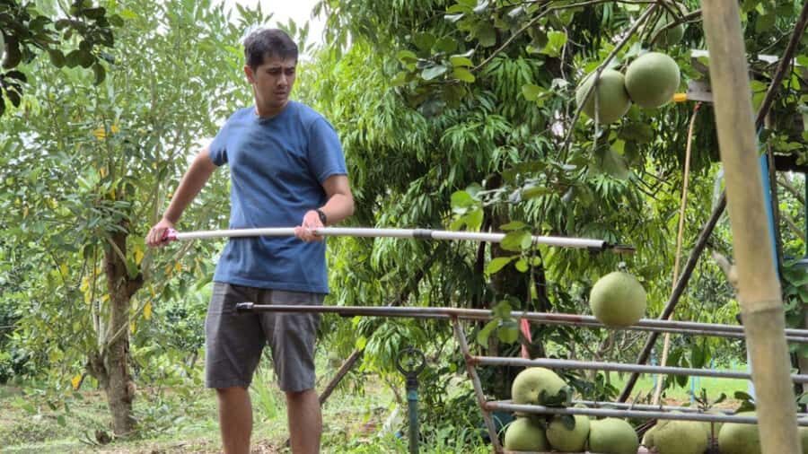 From Bangkok: Taste and Tune of Samut Songkhram Private Tour - In-Depth Look at What Makes This Tour Stand Out
