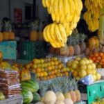 From Bávaro: Higüey Tour with Ranch Horse Ride and Lunch - Why Choose This Tour?